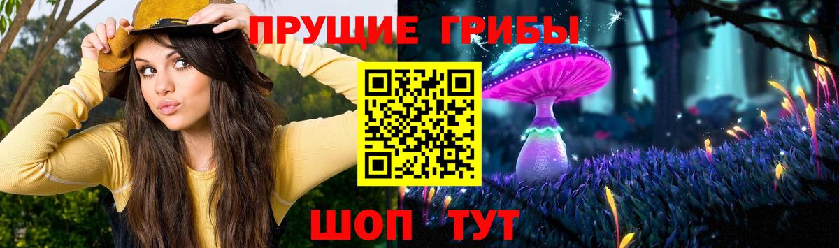 Галлюциногенные грибы мухоморы  Псилоцибиновые грибы Cubensis  Вход с VPN  Новосибирск 